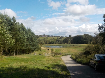 Just past the Brown Trout Pub