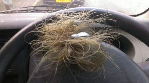 We'd prefer to think this left by mistake.