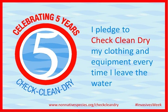 Check Clean Dry Process Check Clean Dry | willingtondistrictanglingclub